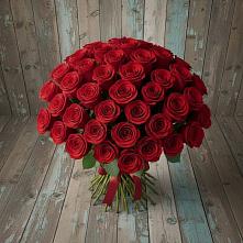 Букет 55 Красных роз Фридом #REPLACE_PRED# Староюрьево