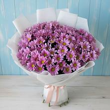 Букет цветов из:  Хризантемы в Староюрьево
