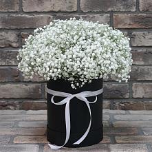 Цветочная композиция из Гипсофила в шляпной коробке #REPLACE_PRED# Староюрьево