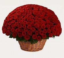 Премиум букет из: Розы в Староюрьево